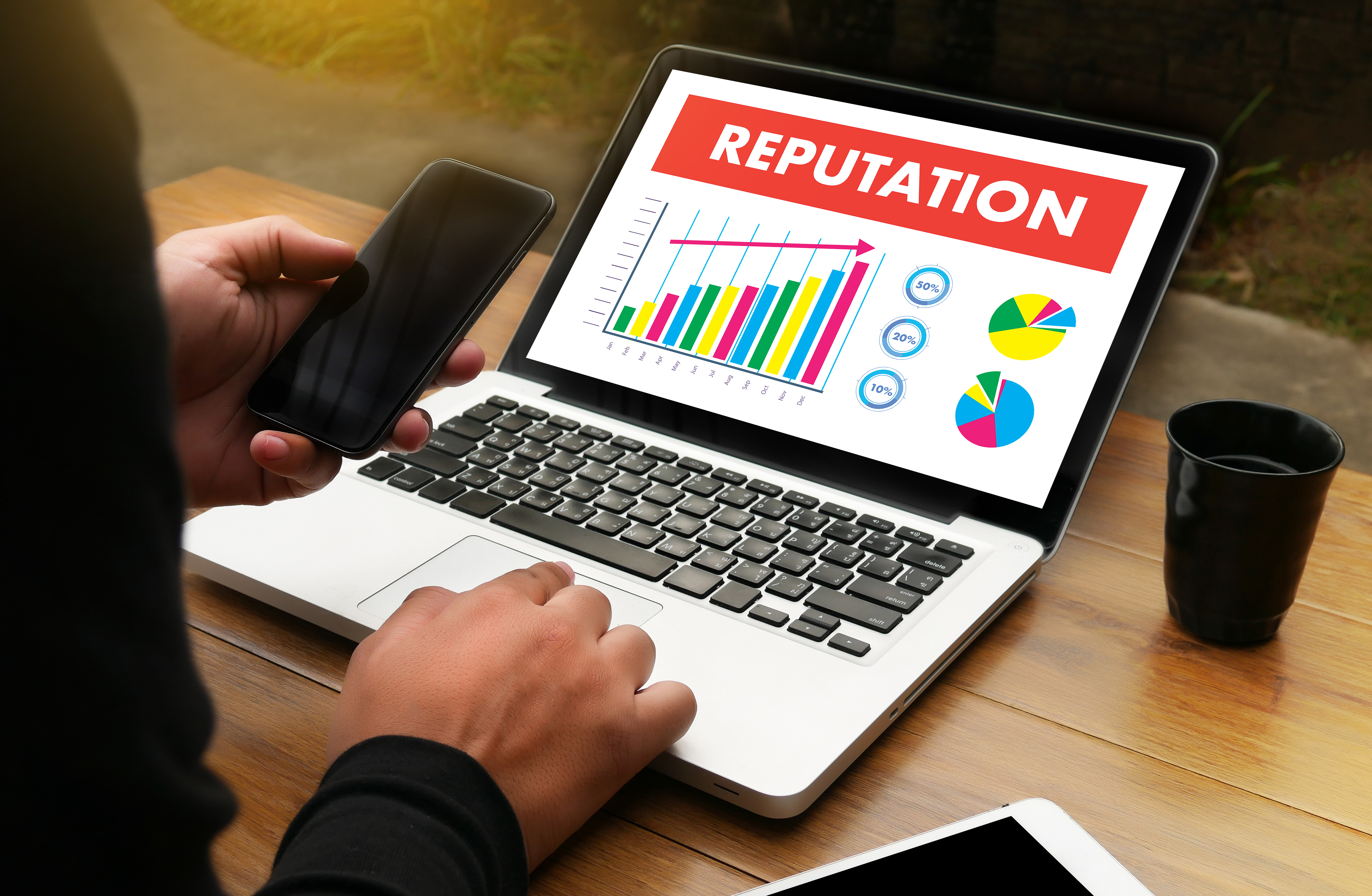 A person looks at a laptop screen with the word 'reputation' on it and images of charts and graphs.